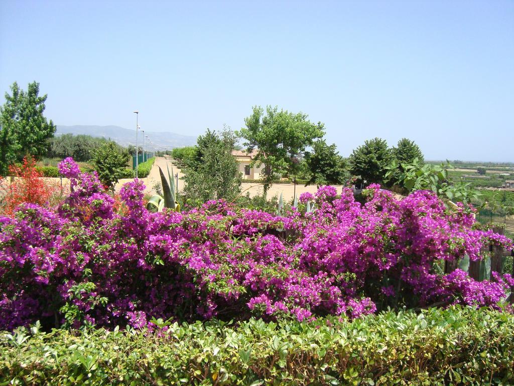 Tenuta Colle Degli Ulivi Sibari Luaran gambar